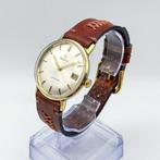 Omega - Seamaster - 136.02 - Heren - 1970, Handtassen en Accessoires, Nieuw