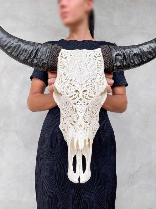 Skull Art - Crâne de buffle blanc sculpté à la main, Antiek en Kunst, Kunst | Designobjecten