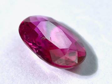 Robijn - 0.71 ct - Antwerp Laboratory for Gemstone Testing