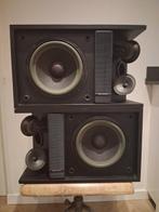 Bose - Moniteur de musique de la série 301 ll Ensemble