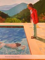 David Hockney (after) - Pool with two figures, Antiek en Kunst