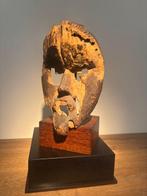 laag - Bassa - Liberia