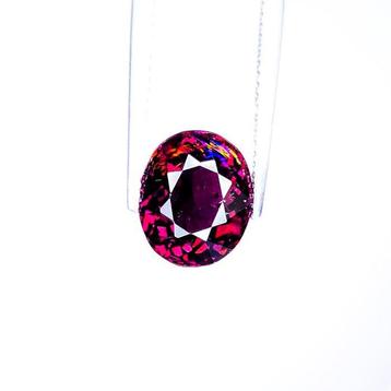 Sans Prix de Réserve Tourmaline - 4.91 ct - International beschikbaar voor biedingen