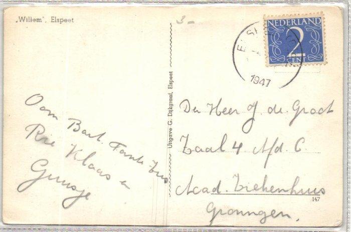 Nederland - Schapen - Meest Nederlands -o.a. Veluwe, Texel,, Verzamelen, Postkaarten | Buitenland