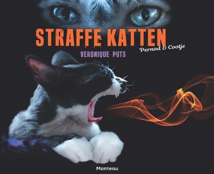 Straffe katten 9789022333075 Veronique Puts, Boeken, Hobby en Vrije tijd, Zo goed als nieuw, Verzenden