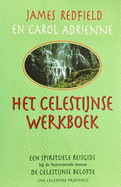 Het Celestijnse werkboek 9789022519509 James Redfield, Boeken, Esoterie en Spiritualiteit, Gelezen, Verzenden