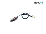 Capteur doxygène Honda CB 125 F 2015-2016 (CB125F JC64), Verzenden, Nieuw
