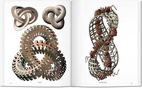 M.C. Escher Grafiek en Tekeningen (Basismonografie), Livres, Livres Autre, Envoi