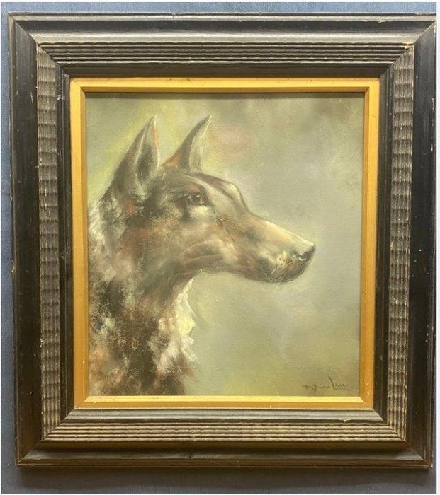 Marino Lenci (1874-1939) - Ritratto di cane, Antiek en Kunst, Kunst | Schilderijen | Klassiek
