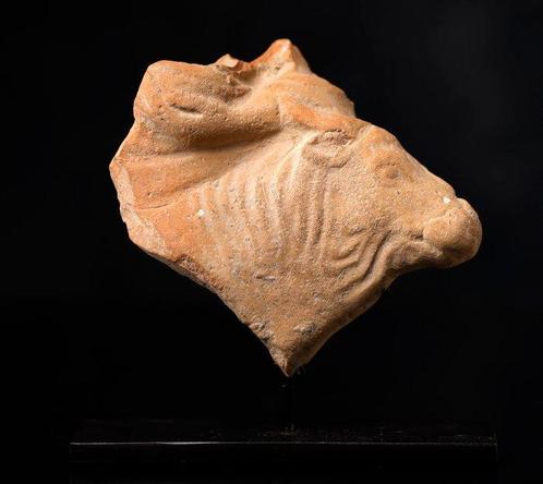 Oud Griekenland, Terracotta fragment van een stier - 7 cm, Verzamelen, Mineralen en Fossielen