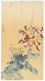 Chrysanthemum Flowers - Koson Ohara (1877-1945) - Japan