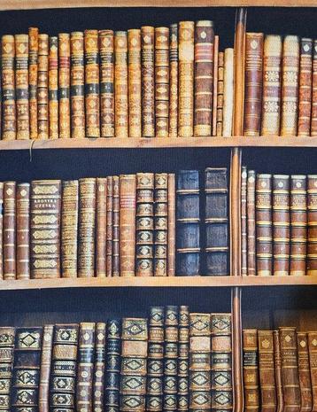 Tissu Librairie Antiquaire Exclusif Antiquités - 300x280cm -