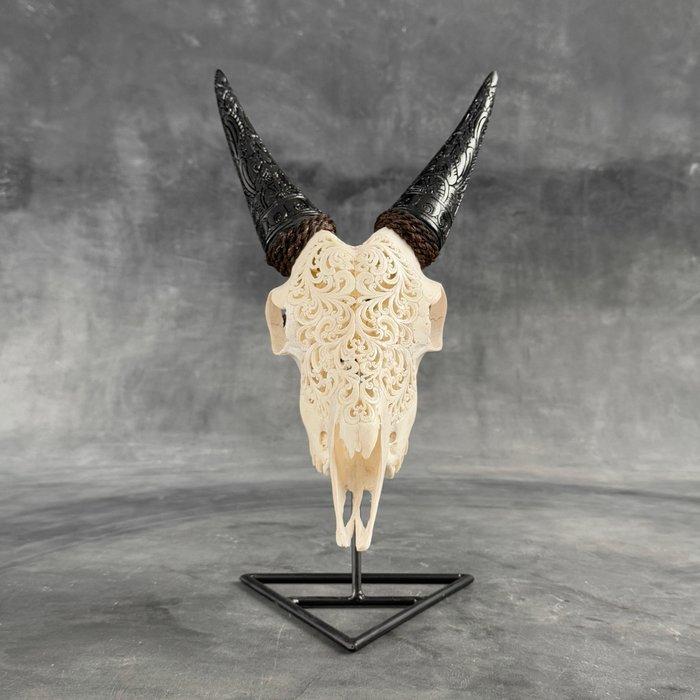 SANS RÉSERVE - Crâne de chèvre blanc sculpté à la main avec, Antiek en Kunst, Curiosa en Brocante