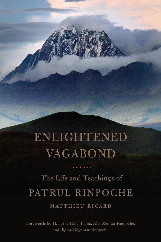 Enlightened Vagabond 9781611803303 Matthieu Ricard, Boeken, Taal | Engels, Gelezen, Verzenden