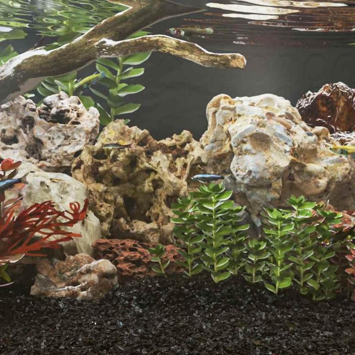vidaXL Drakenstenen 25 kg 10-40 cm grijs, Dieren en Toebehoren, Vissen | Aquaria en Toebehoren, Nieuw, Verzenden