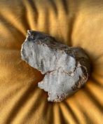 NWA 12629 - L4 Chondrite meteoriet - Hoogte: 8 cm - Breedte: