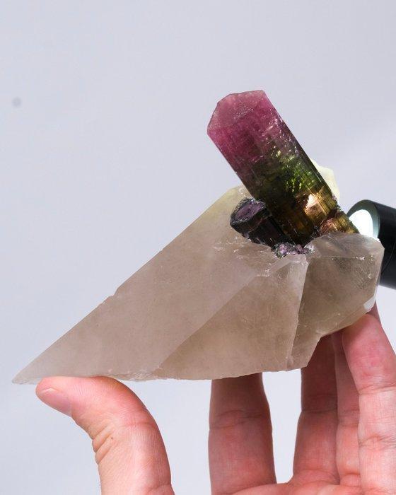 TOP TRICOLOR LIDDICOATITE op een kwarts kristal - Hoogte:, Verzamelen, Mineralen en Fossielen