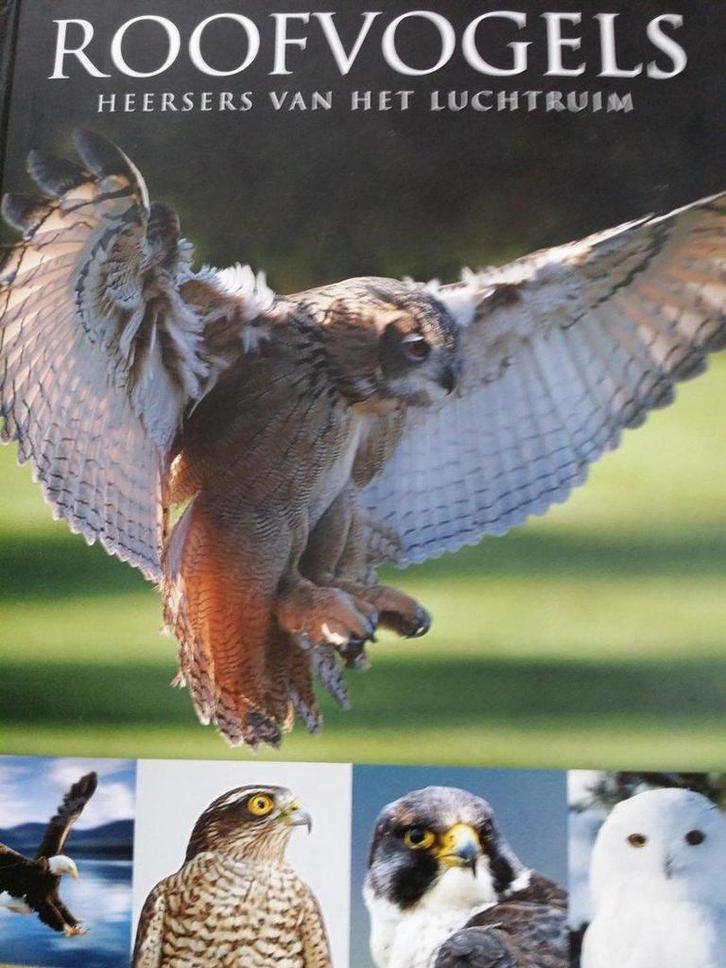 Roofvogels 9781445449029 Frost, Boeken, Literatuur, Zo goed als nieuw, Verzenden