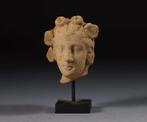 Oud-Grieks Terracotta vrouwelijk hoofd - 6 cm