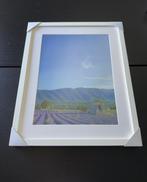 Fabio Accorrà - The colors of Provence