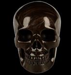 540 g 8,80 cm × 6,50 cm Museumstuk Jurassic Woodstone, Verzamelen