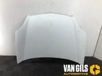 Motorkap Renault Kangoo O273760, Nieuw