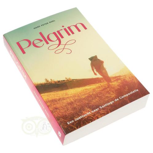 Pelgrim  - Hans Peter Roel, Livres, Livres Autre, Envoi