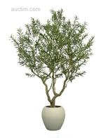 2x Artificiele olijfboom, Ophalen