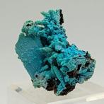 CRISOCOLLA pseudomorphose dAZURITE et de MALACHITE,