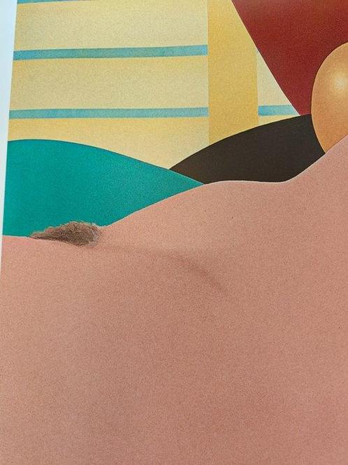 Tom Wesselmann (after) - Nude No 1 / Art Pop 1970, Antiek en Kunst, Kunst | Tekeningen en Fotografie