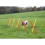 Agility, volledige set 3-delig, rood-geel - kerbl, Animaux & Accessoires, Accessoires pour chiens