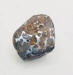 Sericho meteoriet Pallasiet - Hoogte: 40 mm - Breedte: 30 mm, Verzamelen