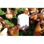 Kunststof-drinkbak 10 l voor kuikens en kippen - kerbl, Dieren en Toebehoren, Nieuw
