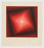 Victor Vasarely (1906-1997) - Voeroech - Japan paper