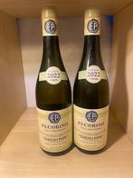 2022 Emidio Pepe Pecorino - Abruzzes - 2 Bouteilles (0,75 L), Collections