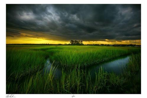 Elena Paraskeva - A Brewing Storm - XL, Antiek en Kunst, Kunst | Schilderijen | Modern