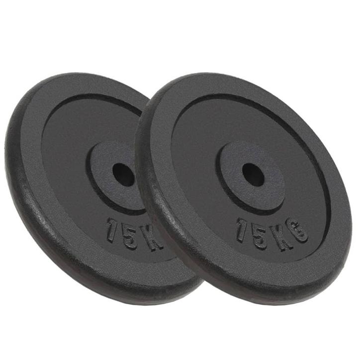 vidaXL Halterschijven 2 st 2x15 kg gietijzer, Sport en Fitness, Fitnessmaterialen, Nieuw, Verzenden