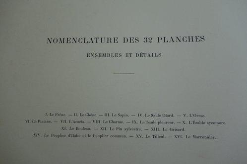 E. Hareux - Les Arbres. Leurs différentes Essences - 1902, Antiek en Kunst, Antiek | Boeken en Manuscripten