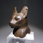 Oud-Egyptisch Brons Bastet godinnenhoofd. 5,7 cm H. Late, Verzamelen