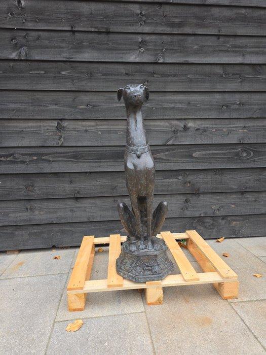 Beeld, XL Bronze Greyhound Dog - 89.5 cm - Brons - 2025, Antiek en Kunst, Curiosa en Brocante