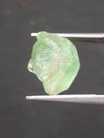 Natural Green Peridot - 7.563 ct - rough gemstone - for face, Verzenden