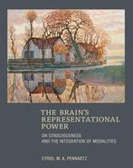 The Brains Representational Power 9780262029315, Boeken, Verzenden, Gelezen, Cyriel M.A. Pennartz