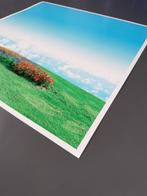 Téber - Garden of The Muse