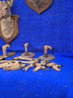 Ree Taxidermie volledige montage - Capreolus capreolus - lot, Verzamelen, Dierenverzamelingen, Nieuw