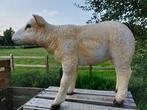 Statue, life size and a lifelike (Texel lamb) - 43 cm -