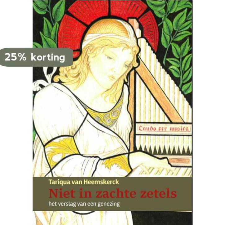 Niet in zachte zetels 9789493175136 Tariqua van Heemskerck, Livres, Ésotérisme & Spiritualité, Envoi