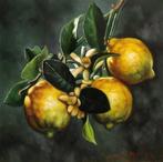 Ciro Morrone (1956) - Limoni, Antiquités & Art