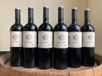 2021 Copel Wines. Pessac-Leognan - Bordeaux - 6 Flessen, Nieuw