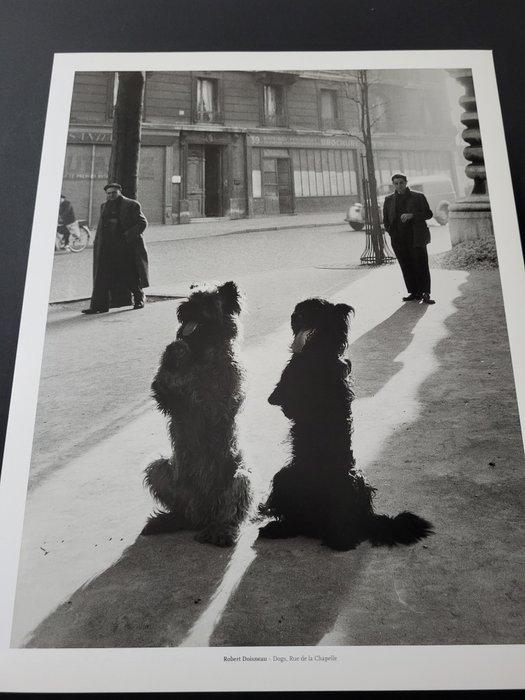 Robert Doisneau (1912 - 1994) - Dogs, rue de la Chapelle,, Antiek en Kunst, Kunst | Designobjecten