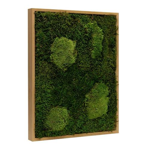 Mosschilderij Lappenmos-Bolmos 30x40 cm Eikenhout - Viborg, Maison & Meubles, Accessoires pour la Maison | Cadres, Envoi